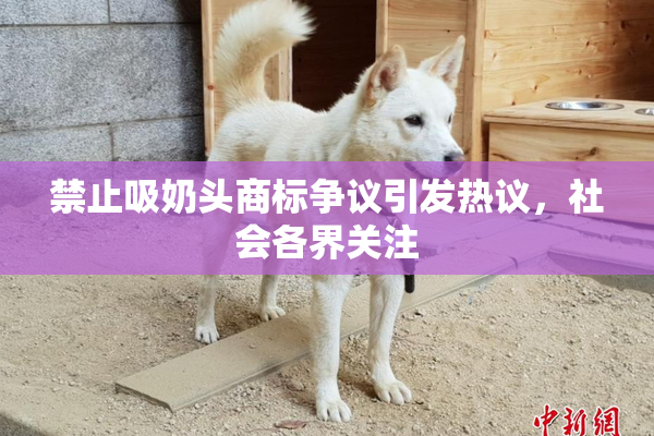 禁止吸奶头商标争议引发热议，社会各界关注