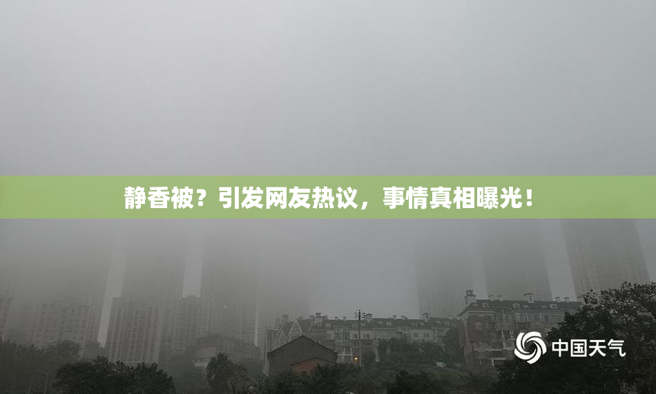 静香被？引发网友热议，事情真相曝光！