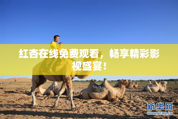 红杏在线免费观看，畅享精彩影视盛宴！