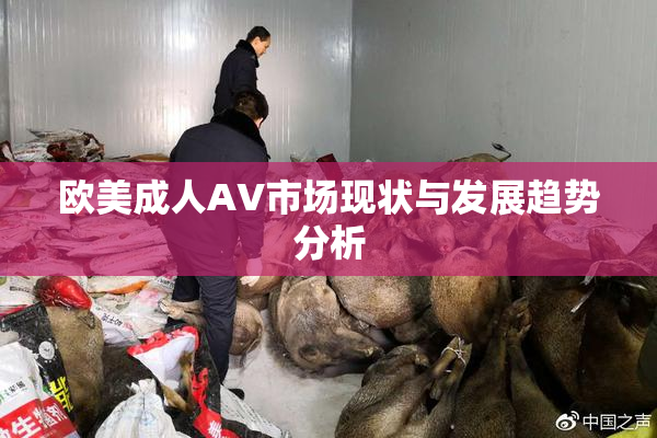欧美成人AV市场现状与发展趋势分析