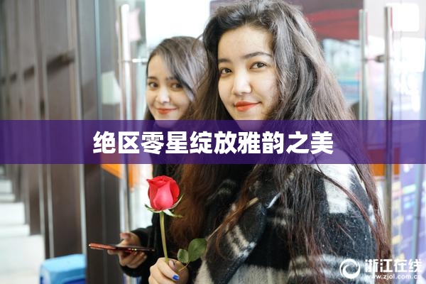 绝区零星绽放雅韵之美