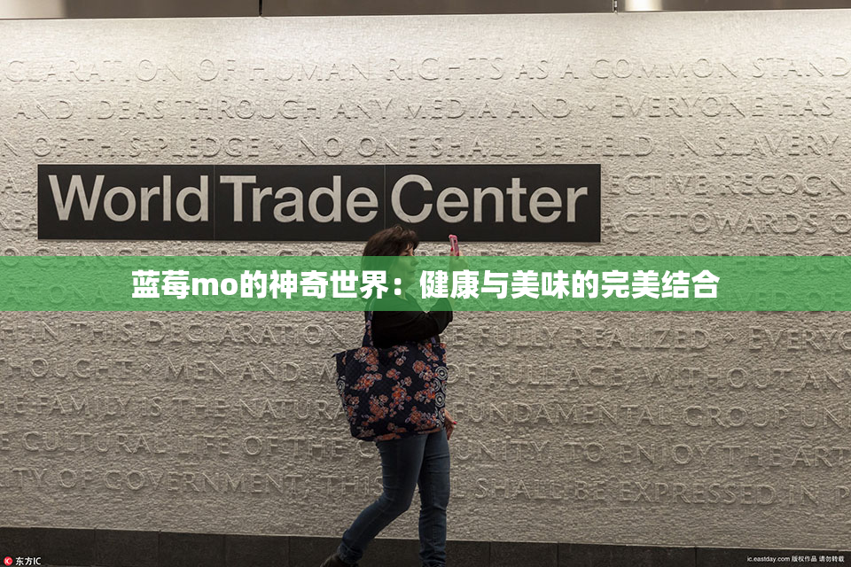 蓝莓mo的神奇世界：健康与美味的完美结合