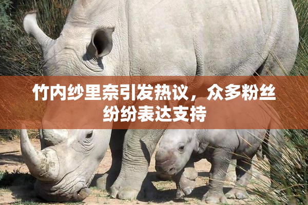 竹内纱里奈引发热议，众多粉丝纷纷表达支持
