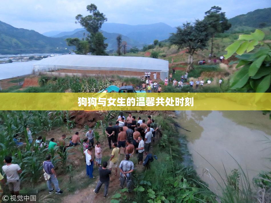 狗狗与女生的温馨共处时刻