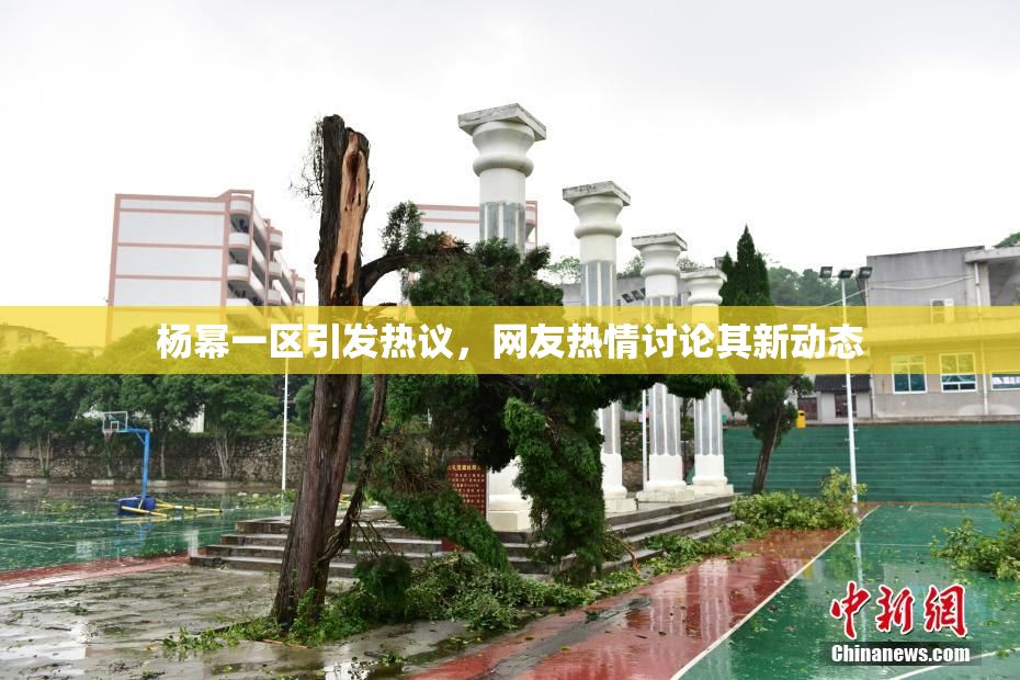 杨幂一区引发热议，网友热情讨论其新动态