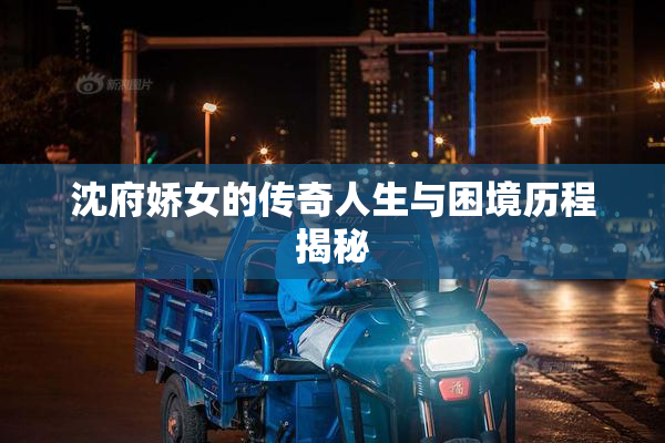 沈府娇女的传奇人生与困境历程揭秘