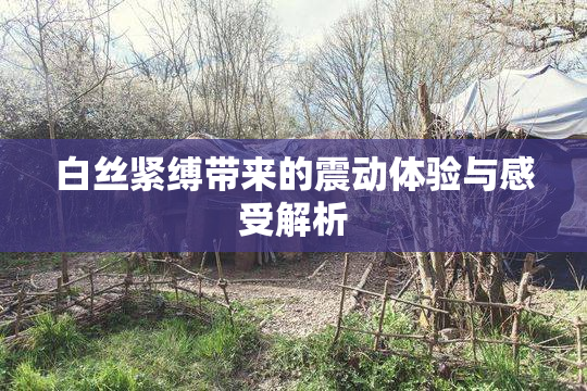 白丝紧缚带来的震动体验与感受解析