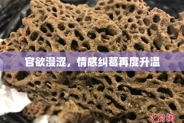 官欲漫涩，情感纠葛再度升温