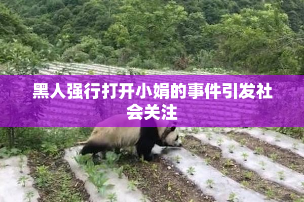 黑人强行打开小娟的事件引发社会关注