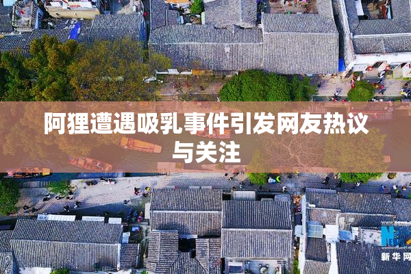 阿狸遭遇吸乳事件引发网友热议与关注