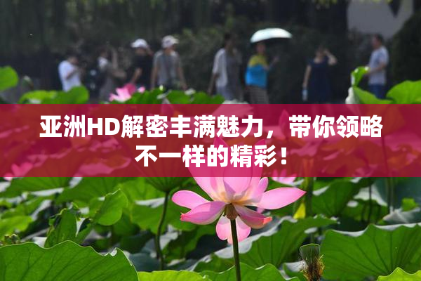亚洲HD解密丰满魅力，带你领略不一样的精彩！