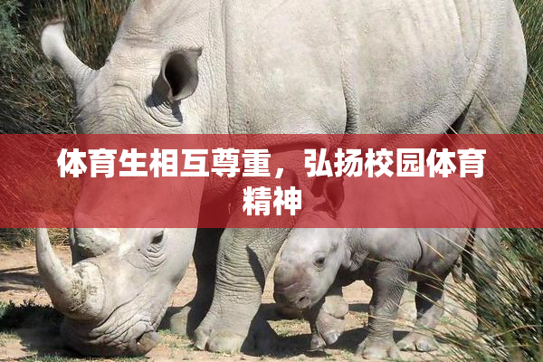 体育生相互尊重，弘扬校园体育精神