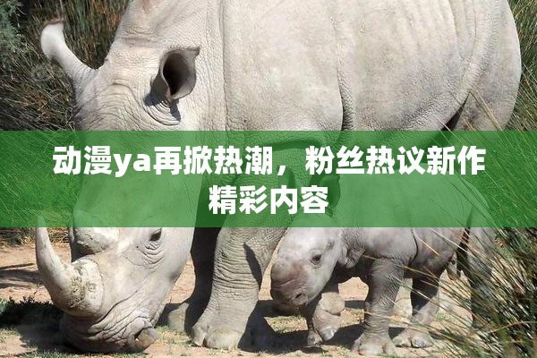 动漫ya再掀热潮，粉丝热议新作精彩内容