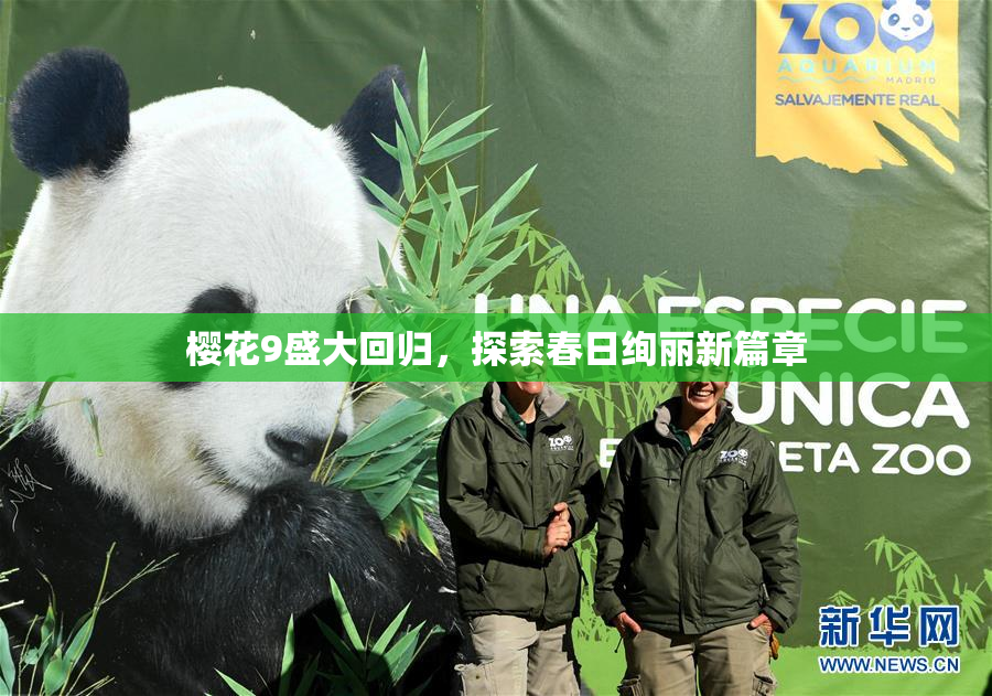 樱花9盛大回归，探索春日绚丽新篇章