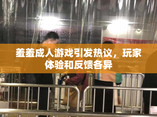 羞羞成人游戏引发热议，玩家体验和反馈各异