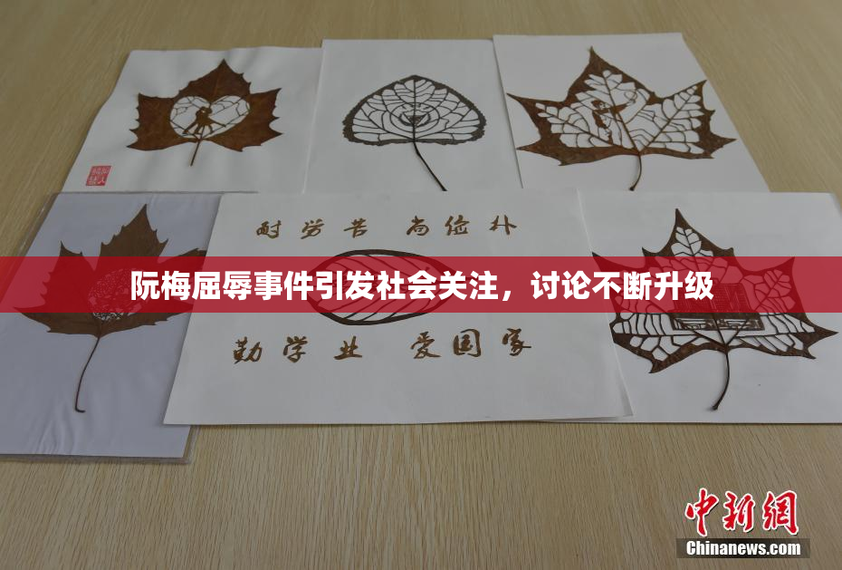 阮梅屈辱事件引发社会关注，讨论不断升级