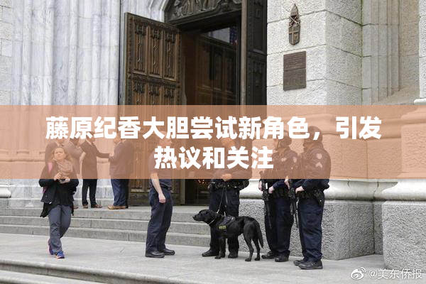 藤原纪香大胆尝试新角色，引发热议和关注