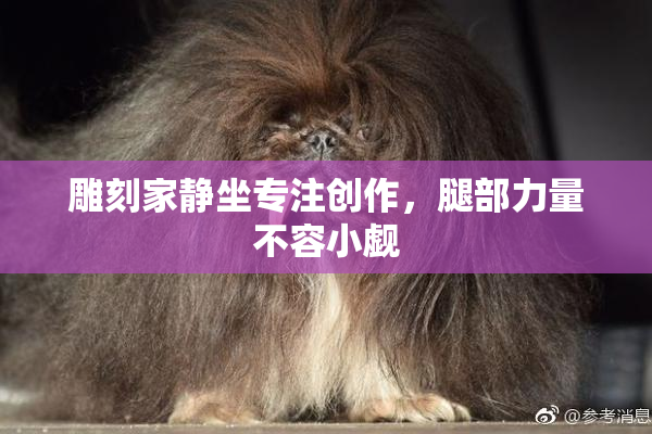 雕刻家静坐专注创作，腿部力量不容小觑