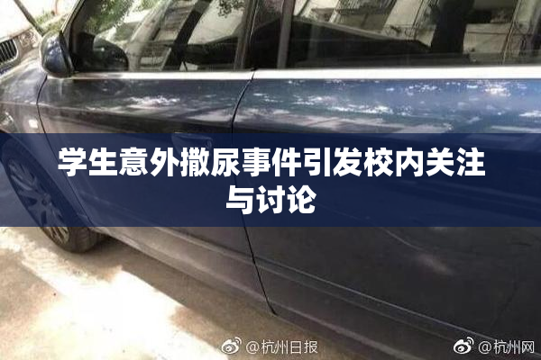 学生意外撒尿事件引发校内关注与讨论