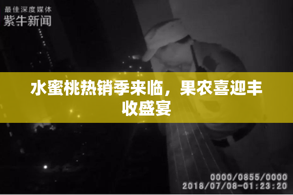 水蜜桃热销季来临，果农喜迎丰收盛宴