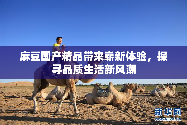 麻豆国产精品带来崭新体验，探寻品质生活新风潮