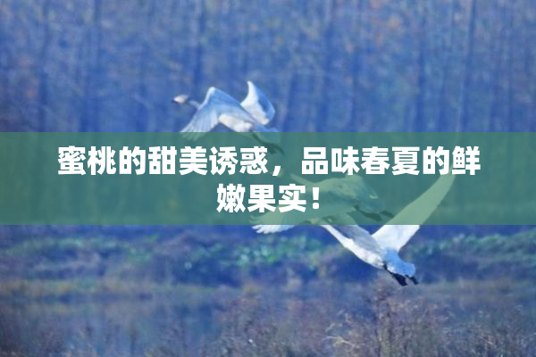 蜜桃的甜美诱惑，品味春夏的鲜嫩果实！