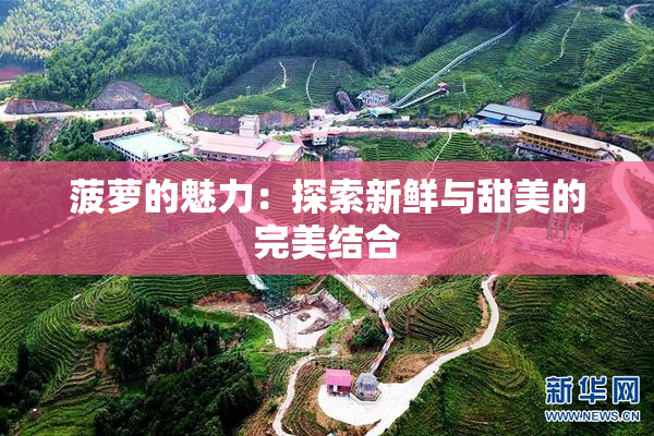 菠萝的魅力：探索新鲜与甜美的完美结合