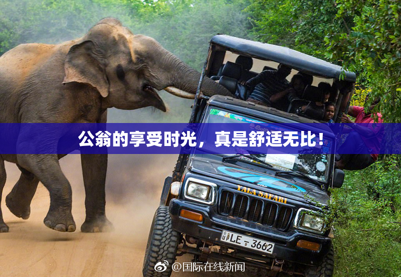 公翁的享受时光，真是舒适无比！