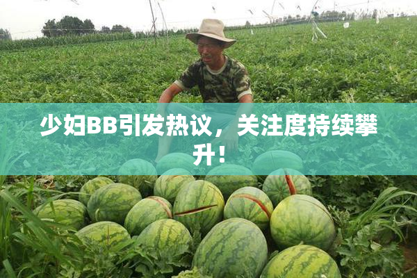 少妇BB引发热议，关注度持续攀升！