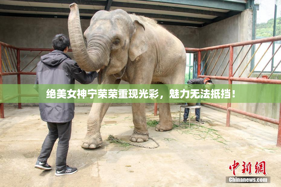 绝美女神宁荣荣重现光彩，魅力无法抵挡！