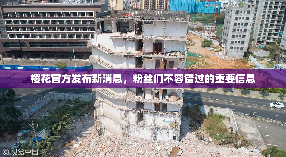 樱花官方发布新消息，粉丝们不容错过的重要信息