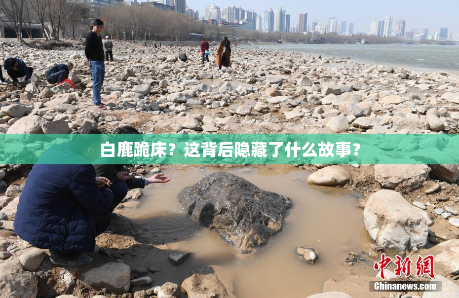 白鹿跪床？这背后隐藏了什么故事？