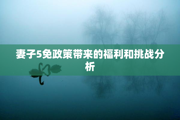 妻子5免政策带来的福利和挑战分析