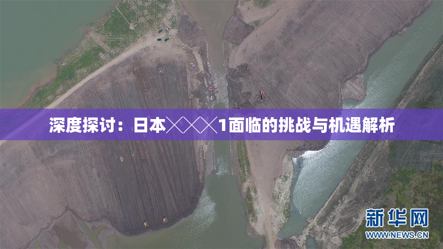 深度探讨：日本╳╳╳1面临的挑战与机遇解析