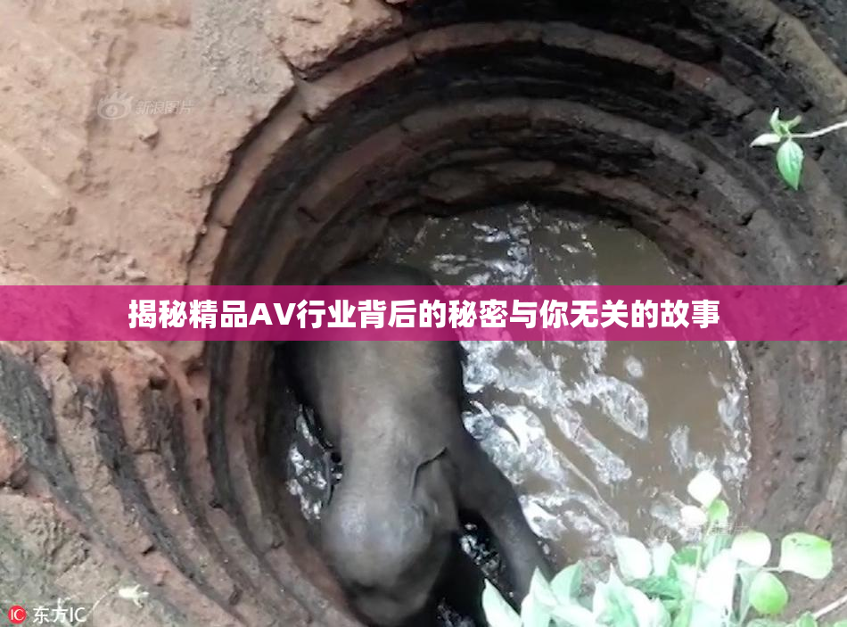 揭秘精品AV行业背后的秘密与你无关的故事