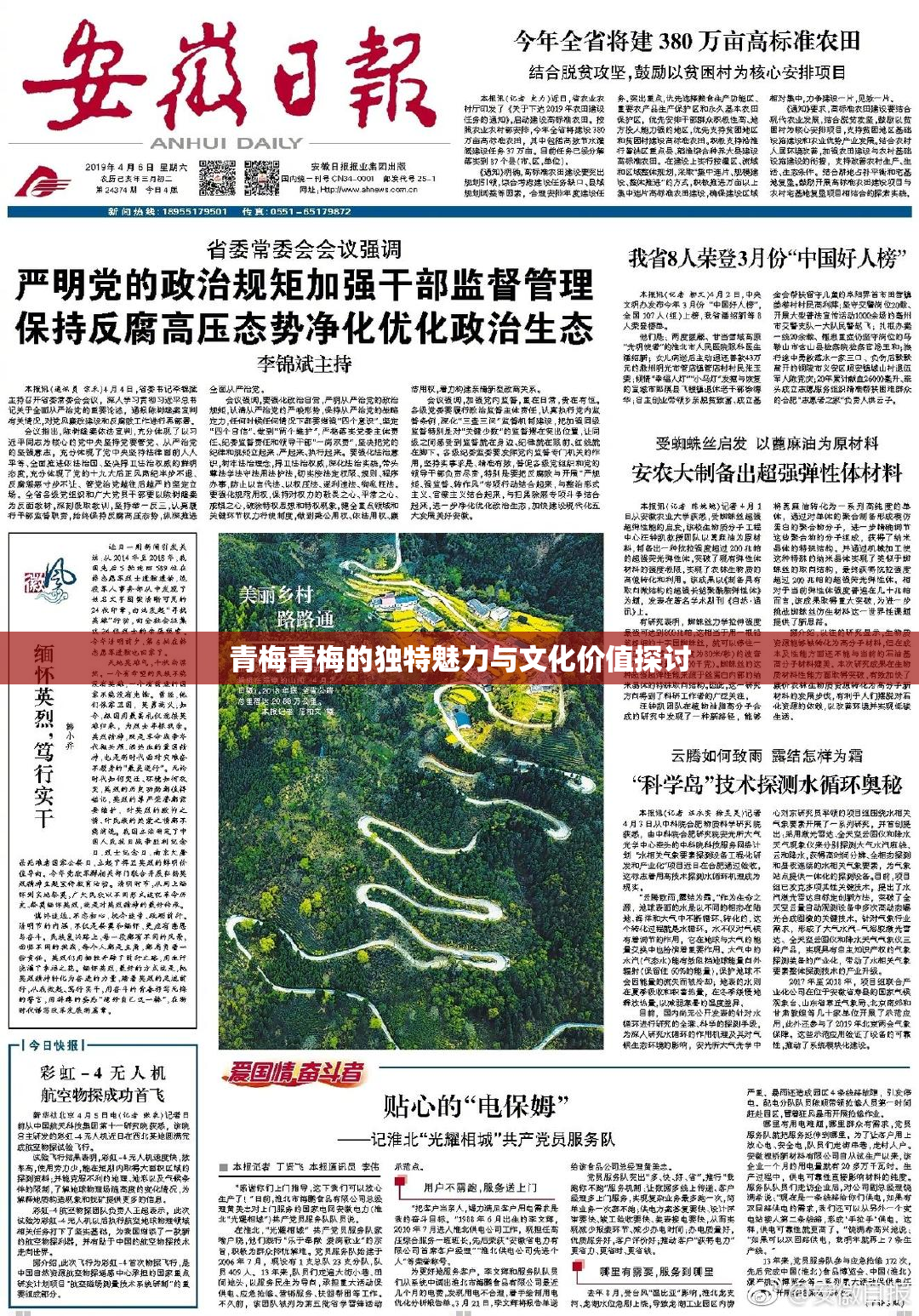 青梅青梅的独特魅力与文化价值探讨