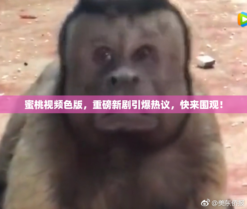 蜜桃视频色版，重磅新剧引爆热议，快来围观！