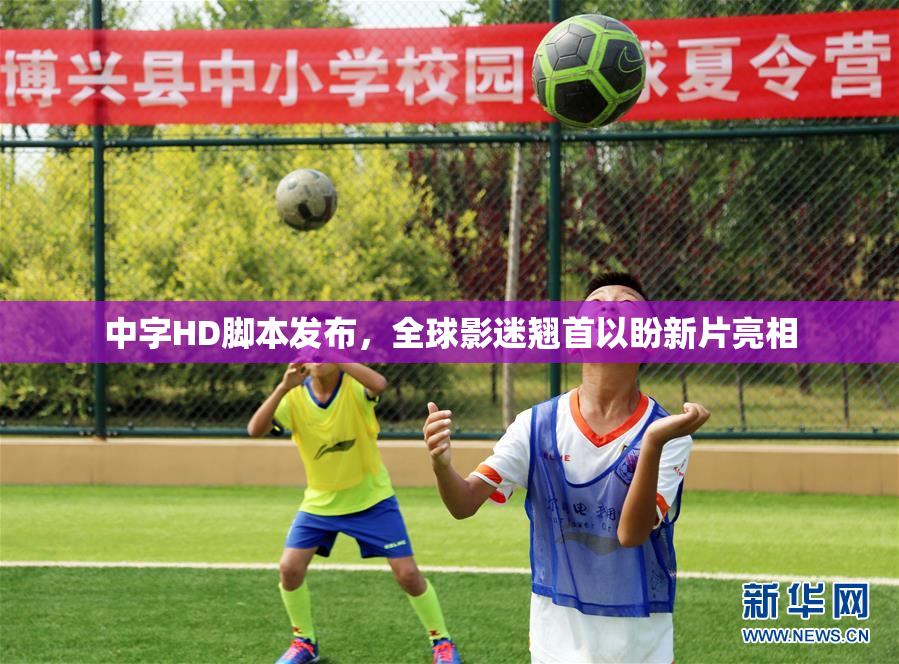 中字HD脚本发布，全球影迷翘首以盼新片亮相