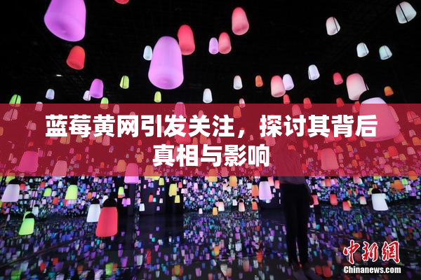 蓝莓黄网引发关注，探讨其背后真相与影响