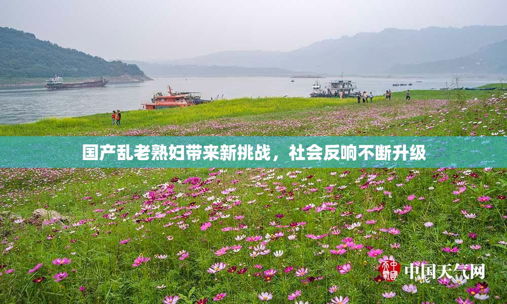 国产乱老熟妇带来新挑战，社会反响不断升级