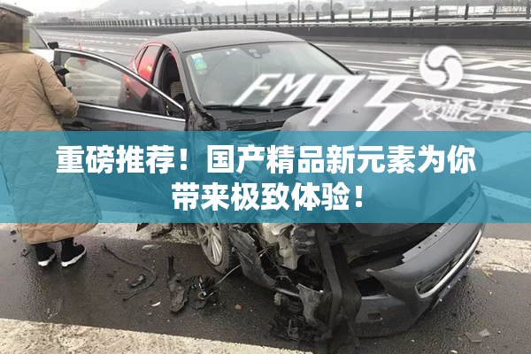重磅推荐！国产精品新元素为你带来极致体验！