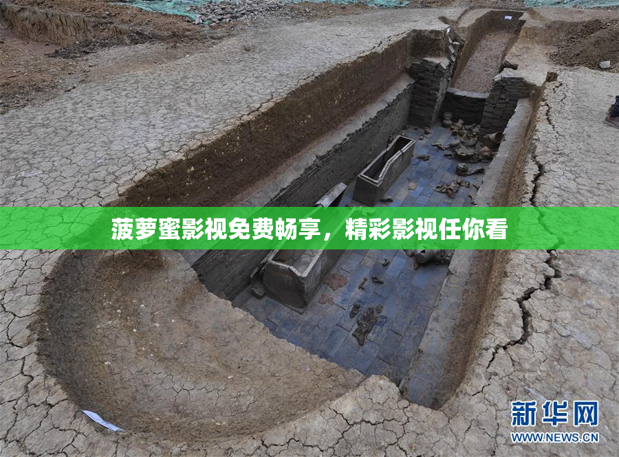 菠萝蜜影视免费畅享，精彩影视任你看