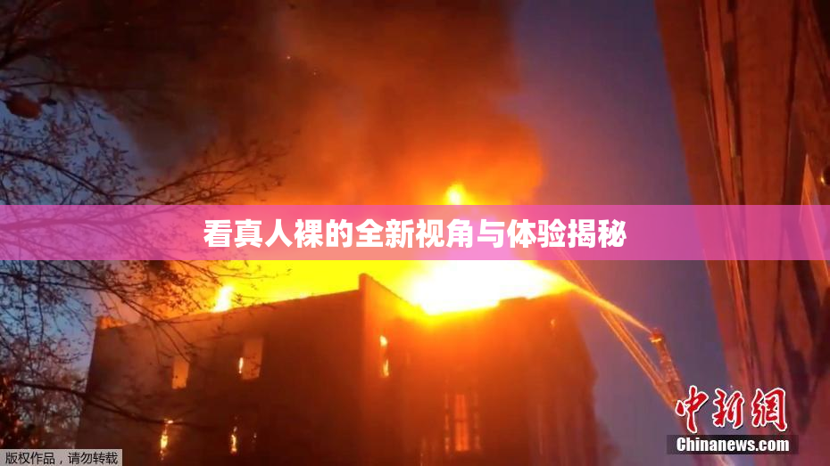 看真人裸的全新视角与体验揭秘