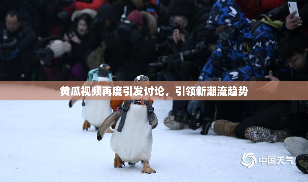 黄瓜视频再度引发讨论，引领新潮流趋势