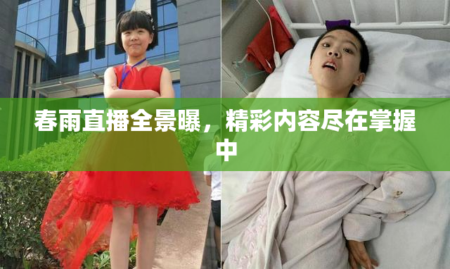 春雨直播全景曝，精彩内容尽在掌握中