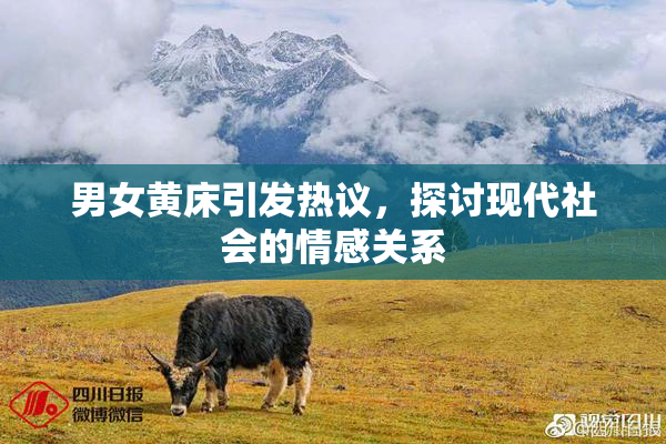 男女黄床引发热议，探讨现代社会的情感关系