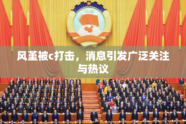 风堇被c打击，消息引发广泛关注与热议