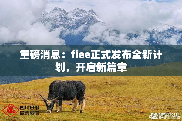 重磅消息：fiee正式发布全新计划，开启新篇章