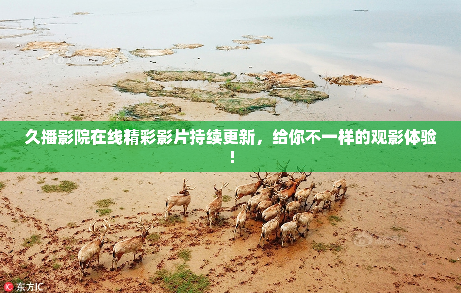久播影院在线精彩影片持续更新，给你不一样的观影体验！