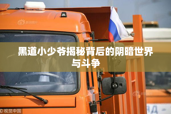 黑道小少爷揭秘背后的阴暗世界与斗争
